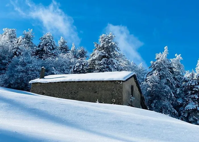 Casa de Férias Le Petit Paradis Cevenol - Piscine & Salle De Sport Notre-Dame-de-la-Rouvière